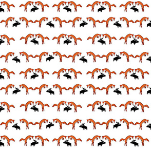 Foxes on Rabbits