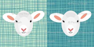 Aqua Lamb