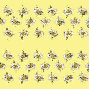 Daisies (Light)