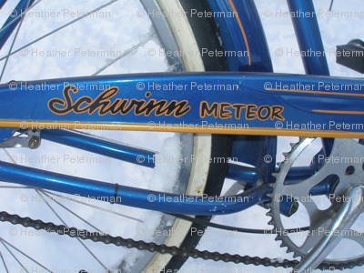 snow_bike_028