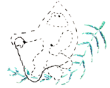 Rfeatherrider_thumb