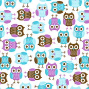 jb_sasparilla_owls_x-lrg