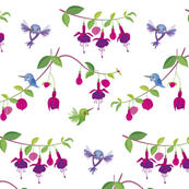 Hummingbirds Fuchsia