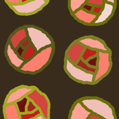 Apple blossoms
