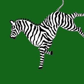 zebra_hi5_lt_green