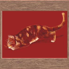 Red Tabby Cat