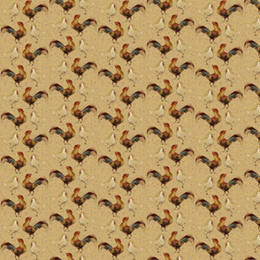 Hen and Rooster Chickens 2