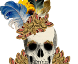 Skull3_thumb