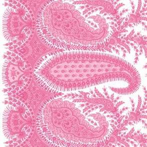 The Paisley Sublime ~ Anna Pink Border Print