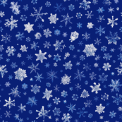 photographic snowflakes on blue