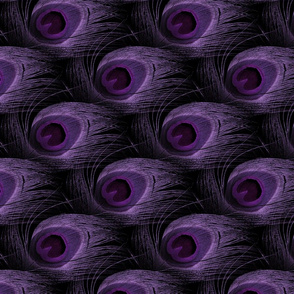 You're So Vain, You Think You're Royal Purple ~ Small