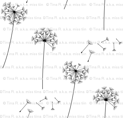 black and white blowing dandelion spores