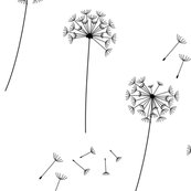 Rrblackonwhite1_shop_thumb