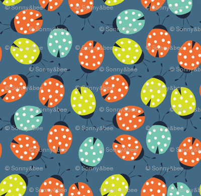 ladybird spots