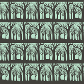 winter woods
