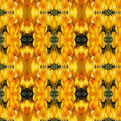 Yellow Cr...