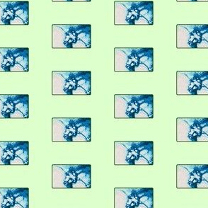 Naughty Fig Leaf Blue