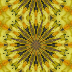 Kaleidescope 0852 Daffodils