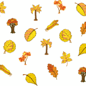 Fall Foliage