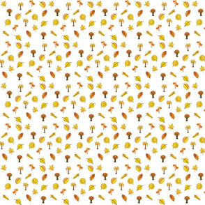 Fall Foliage