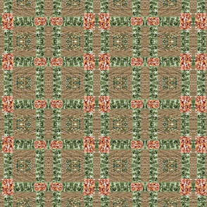 Ground Cover