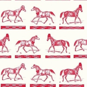 Fancy Horses