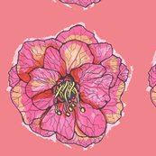 Flowerwithcoral_shop_thumb