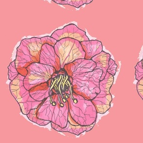 flowerwithcoral