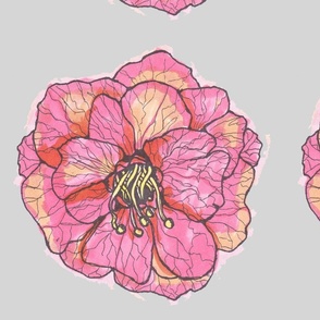 flowerwithgrey
