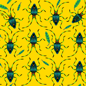 Shield Bugs