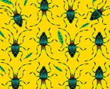 Shield Bugs