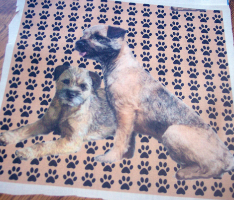 Border Terriers and Pawprints