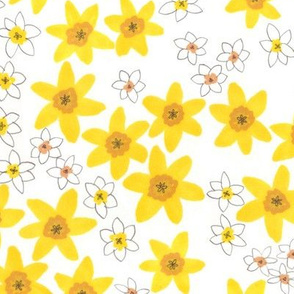 Daffodil for St.David 