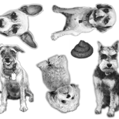 The BarkBox Office Dogs