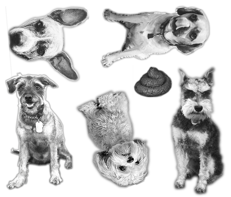 The BarkBox Office Dogs fabric by barkboxstacie on Spoonflower - custom fabric
