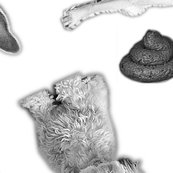 Rrdogs_shop_thumb