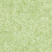 Rrpetoskey3green-on-white_shop_thumb