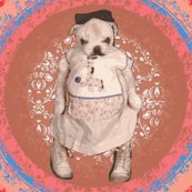 Rrrimage_shop_thumb