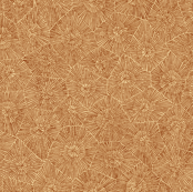 small petoskey stone in brown