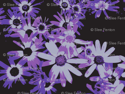 Daisy Chain