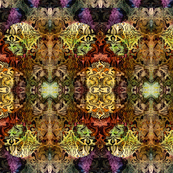 iris_design_2