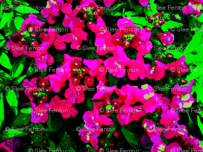 Snapdragon Garden bright