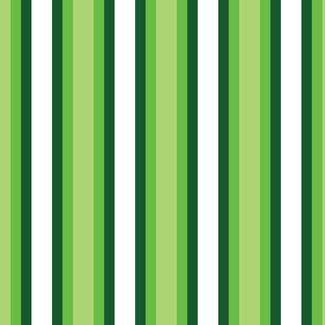 Watermelon Stripe - Green and White