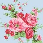 Rrrimage_shop_thumb