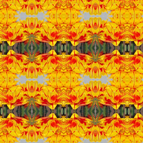 Tulips_3798