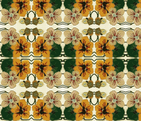 Nasturtiums