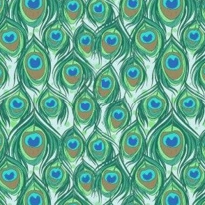 Peacock feathers 