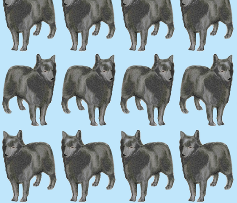 Schipperke fabric by dogdaze_ on Spoonflower - custom fabric