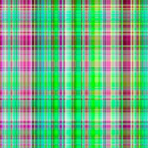 "Nice Girl Plaid"