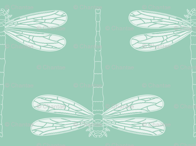 dragonfly in grayed jade